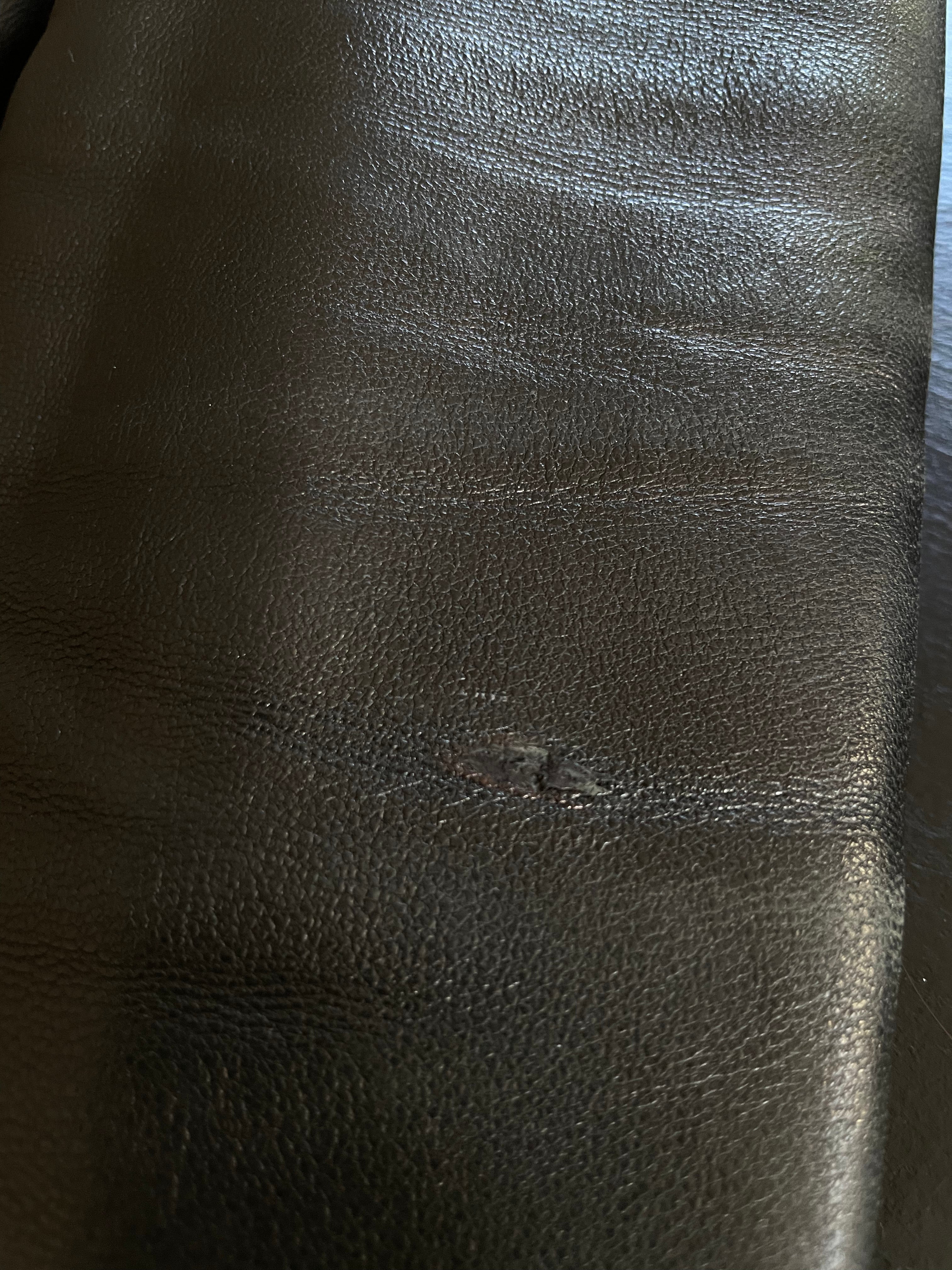 Schott NYC Perfecto Leather Jacket