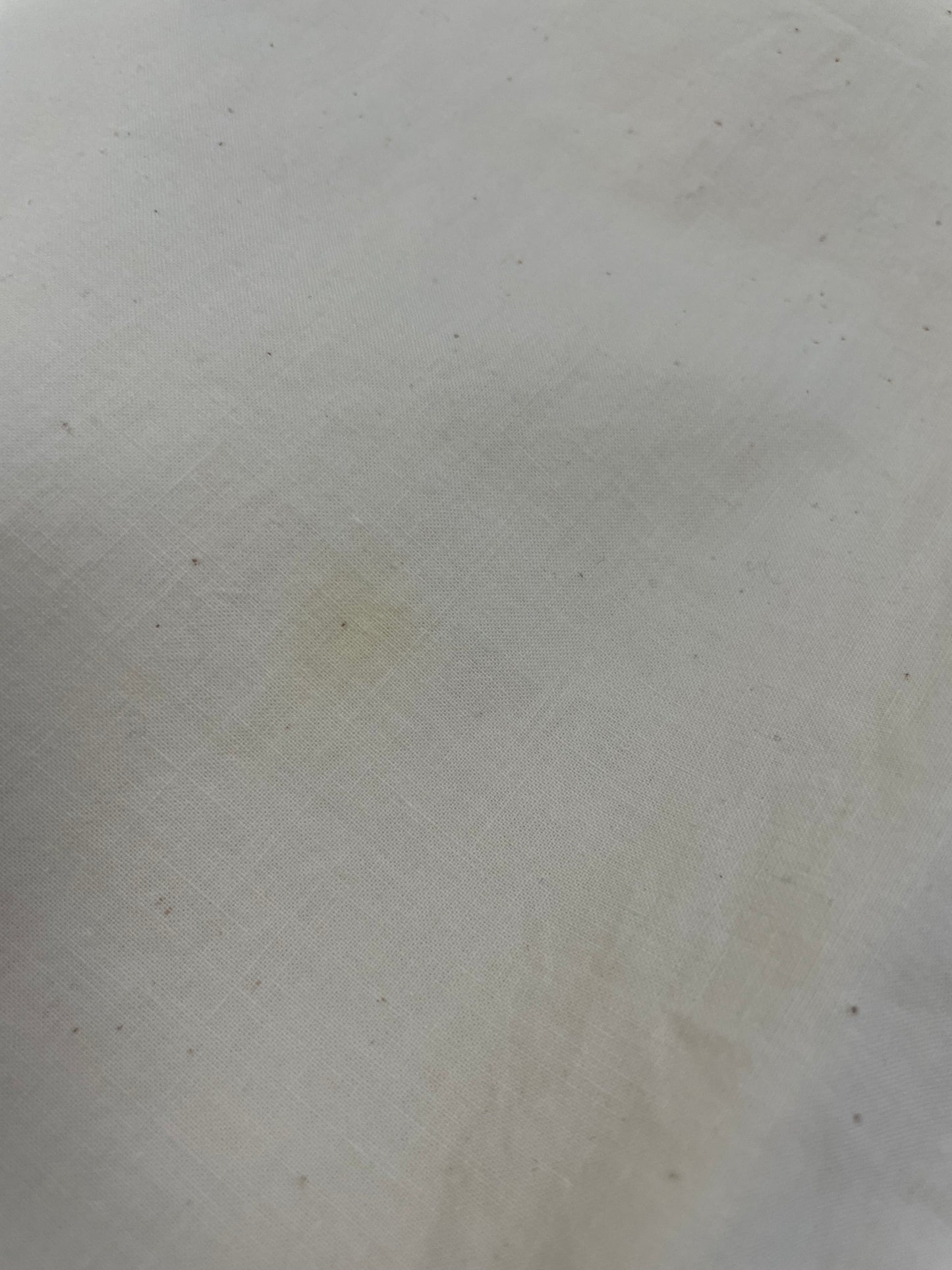 Abito Chemisier Genny in cotone chicchiolato