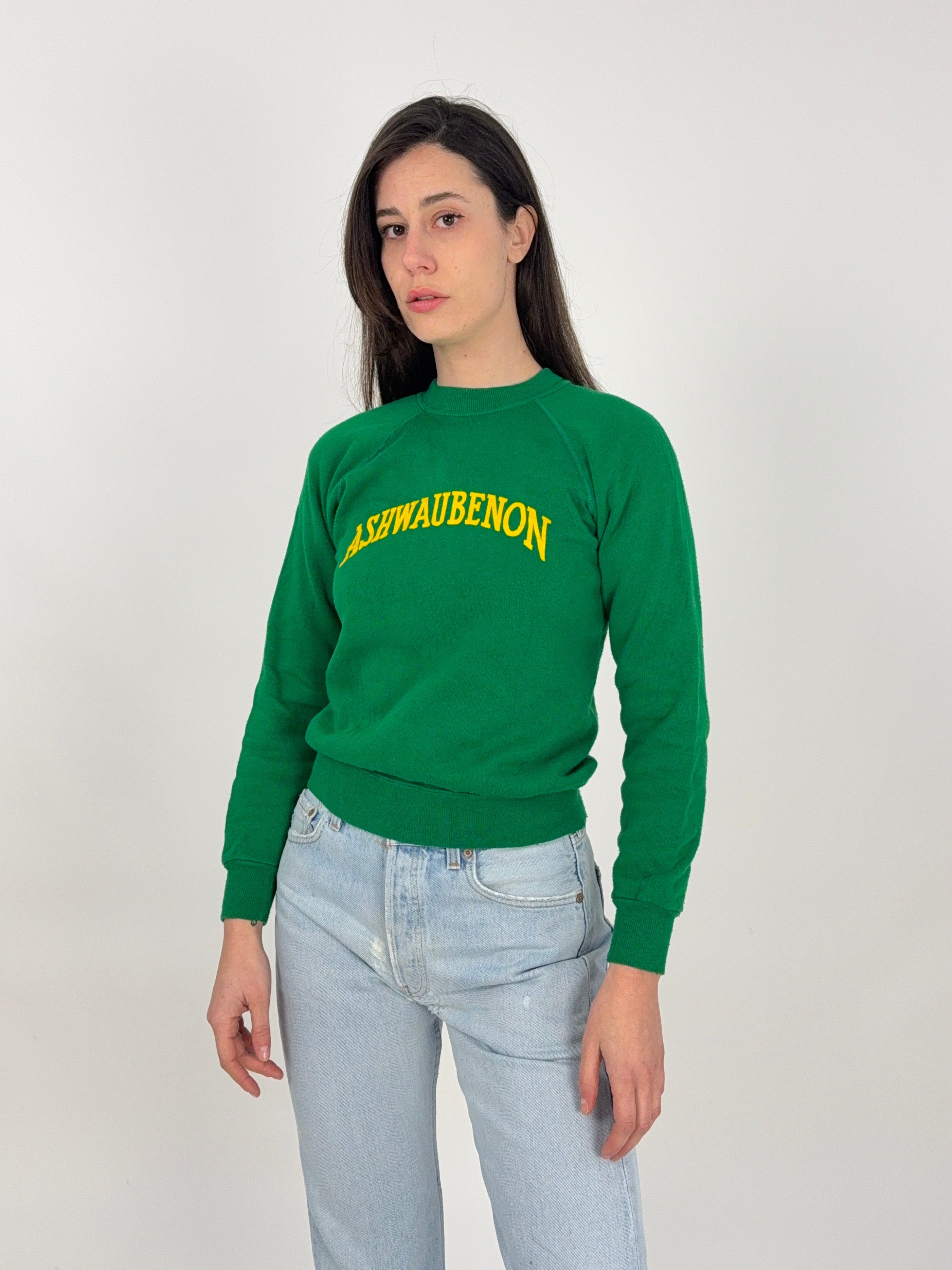 Felpa Ashwaubenon 80s Made in U.S.A.